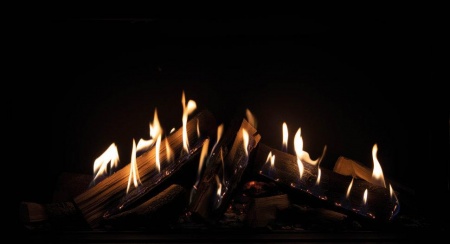 Газовый камин Schmid Lina G 67 Газовый камин Schmid Lina G 67